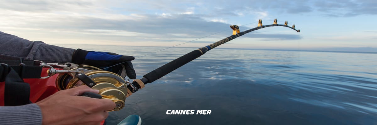Cannes à Pêche Mer
