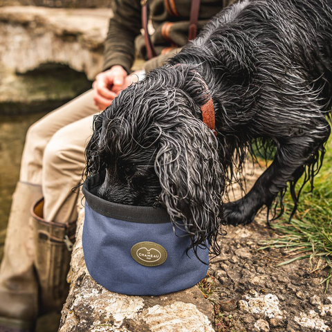 Gamelle portable Le Chameau pour chien