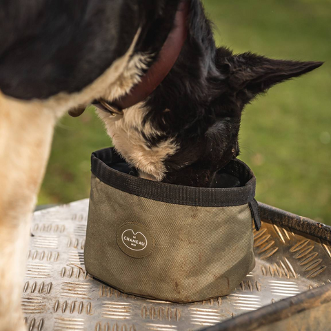 Gamelle portable Le Chameau pour chien