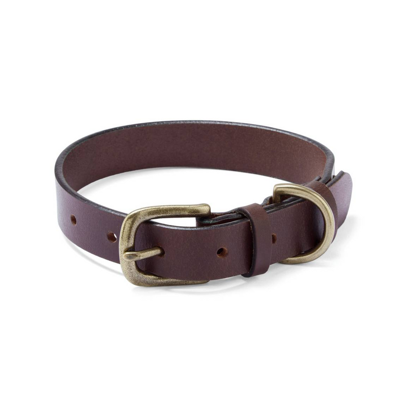 Collier Le Chameau pour chien