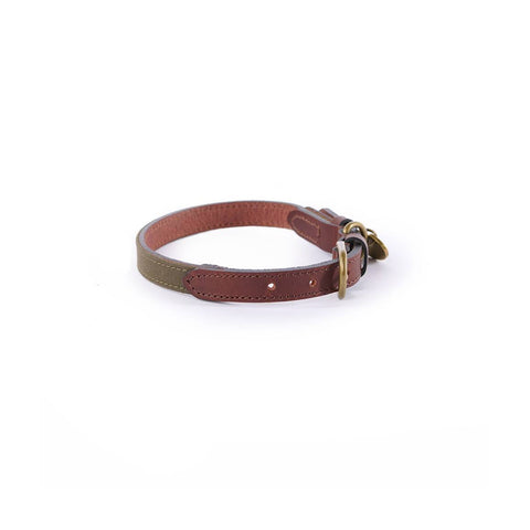 Collier pour chien Le Chameau Coton Ciré/Cuir