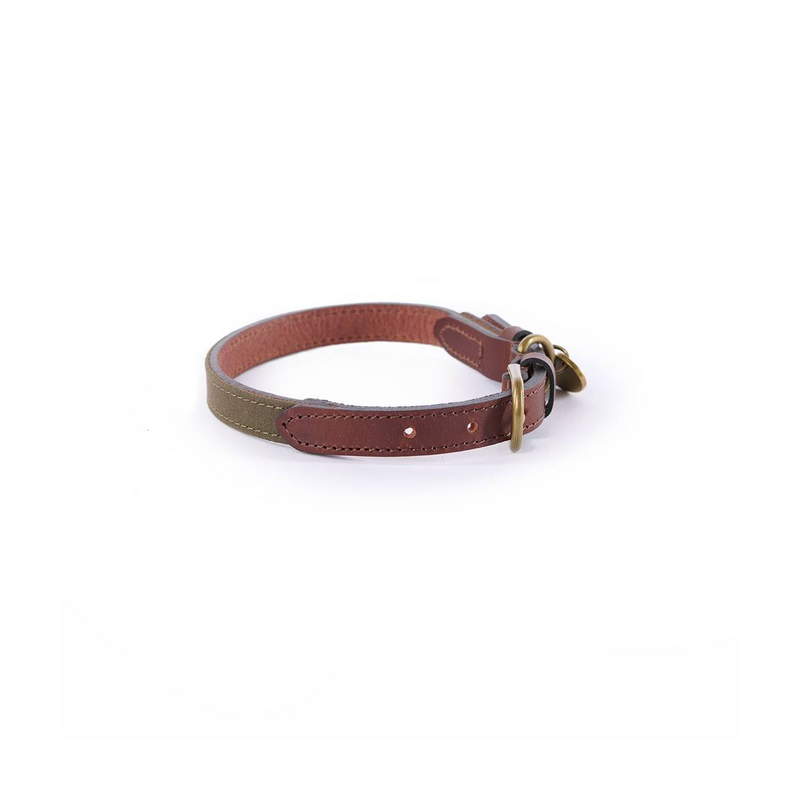 Collier pour chien Le Chameau Coton ciré/cuir