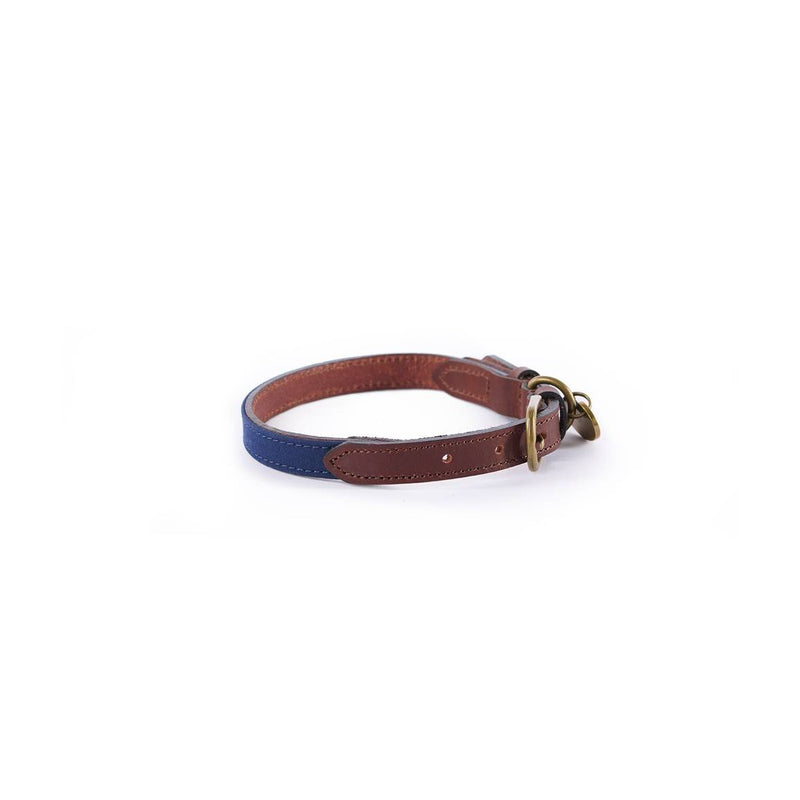 Collier pour chien Le Chameau Coton Ciré/Cuir