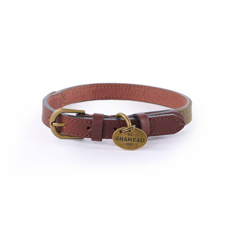 Collier pour chien Le Chameau Coton ciré/cuir