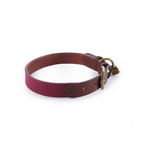 Collier pour chien Le Chameau Coton Ciré/Cuir