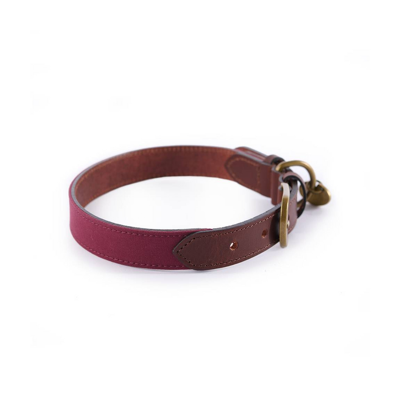 Collier pour chien Le Chameau Coton ciré/cuir