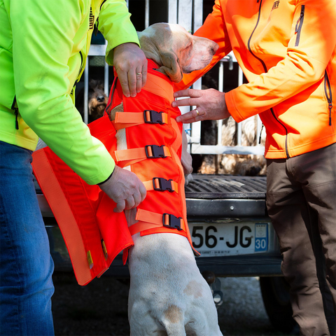 Gilet CaniHunt Protect Dog Armor V3 TECKEL