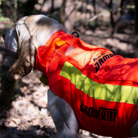 Gilet CaniHunt Protect Dog Armor V3 TECKEL