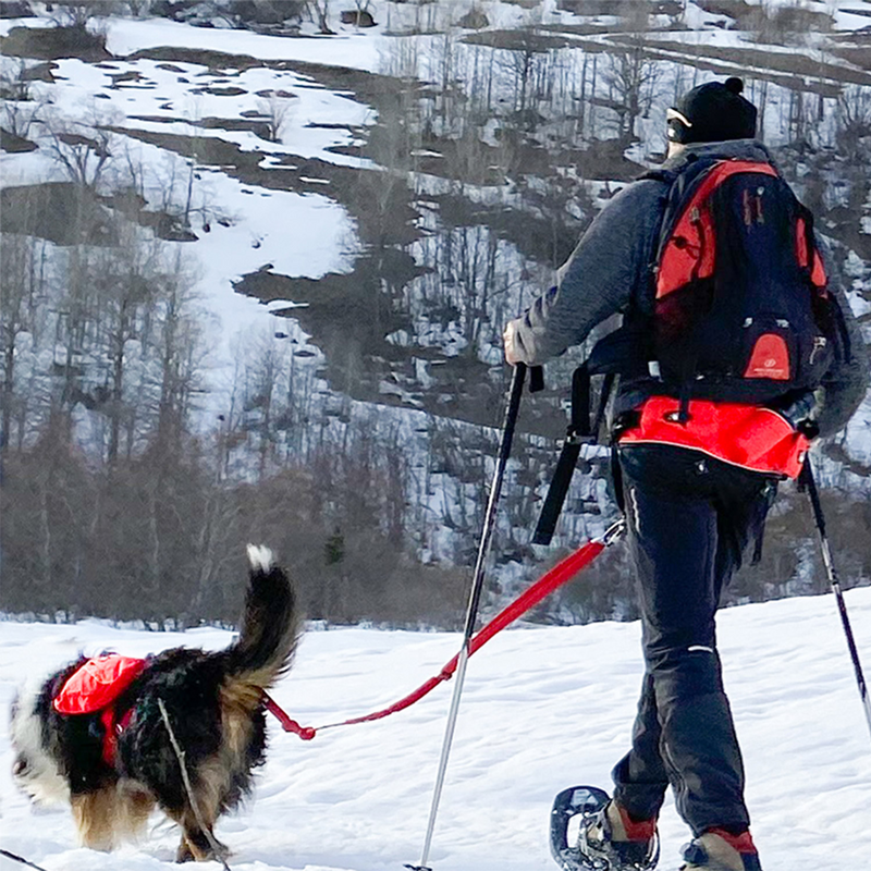 Baudrier I-Dog Confort Trek