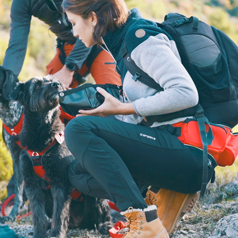 Baudrier I-Dog Confort Trek