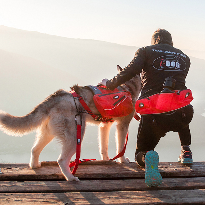 Baudrier I-Dog Confort Trek