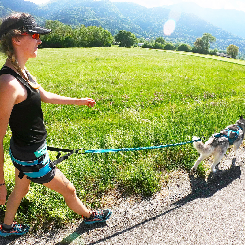 Baudrier I-Dog Canicross CANYON ALM