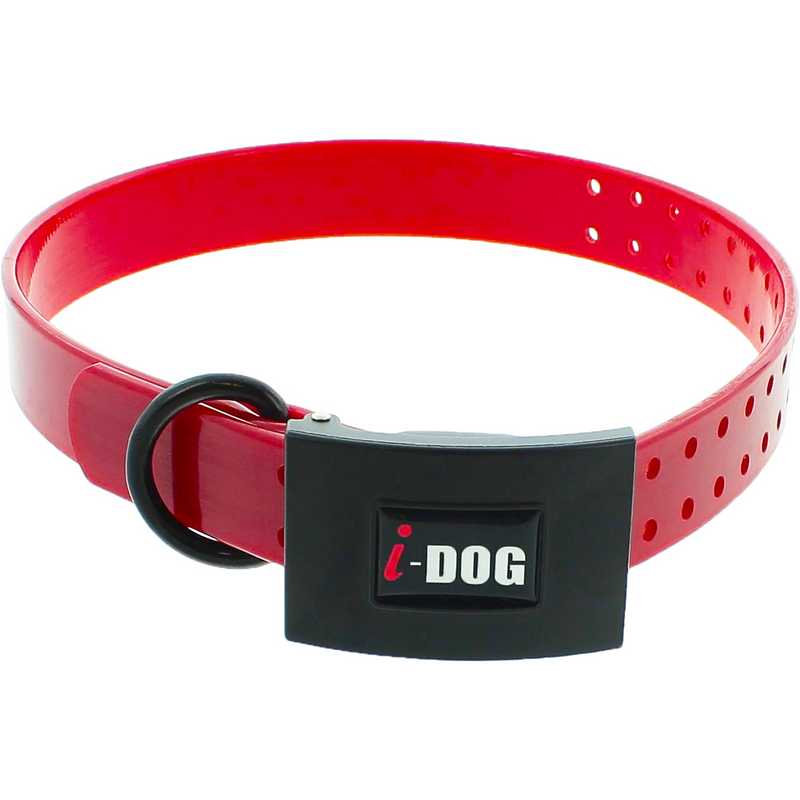 Collier I-Dog Premium