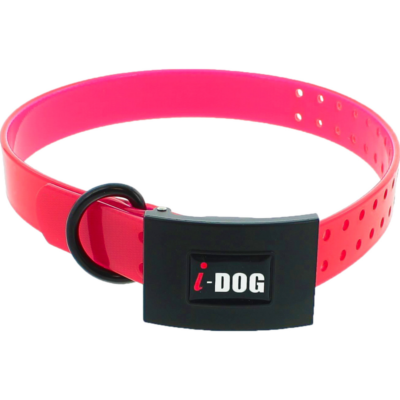 Collier I-Dog Premium