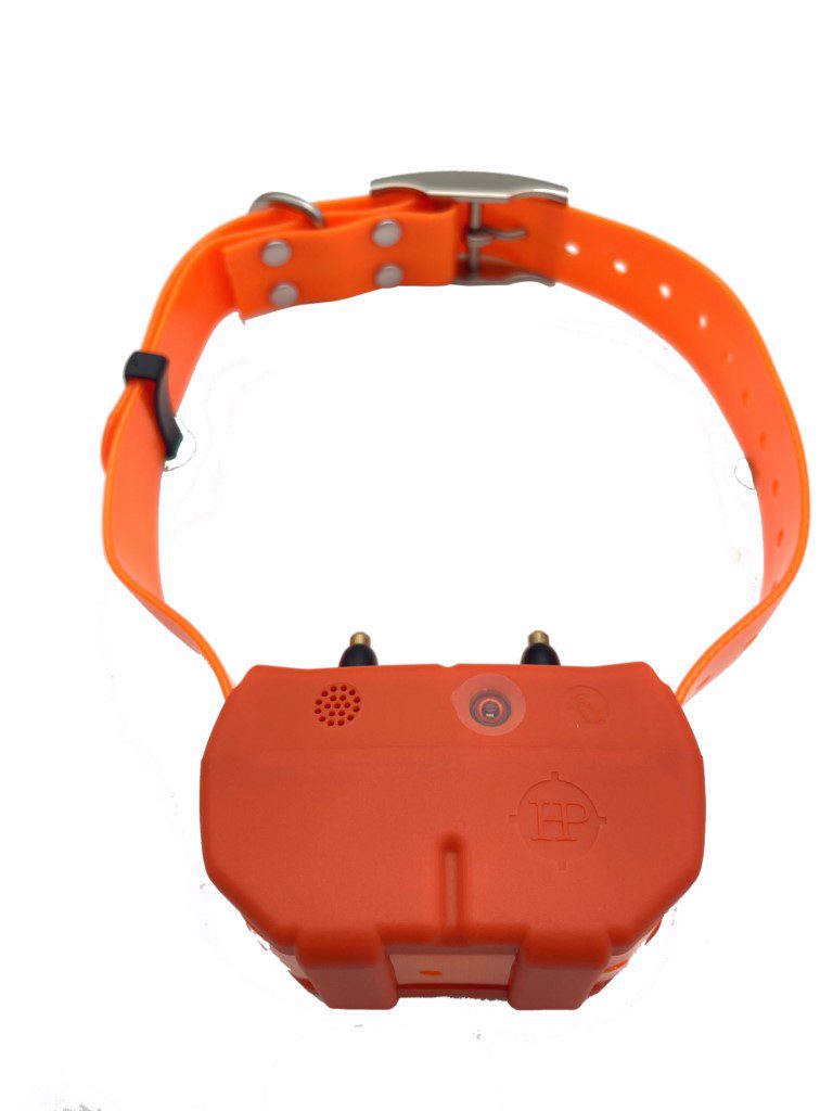 Collier repérage/dressage Hunt Power Dogze