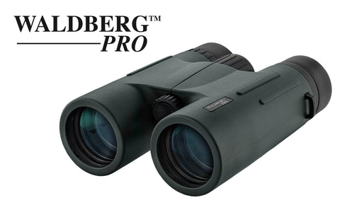 Jumelles Walderg Pro 10x42 ED