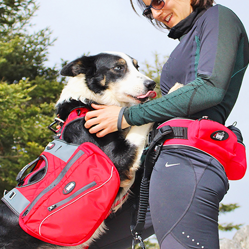 Sacoches pour harnais I-Dog Confort Trek