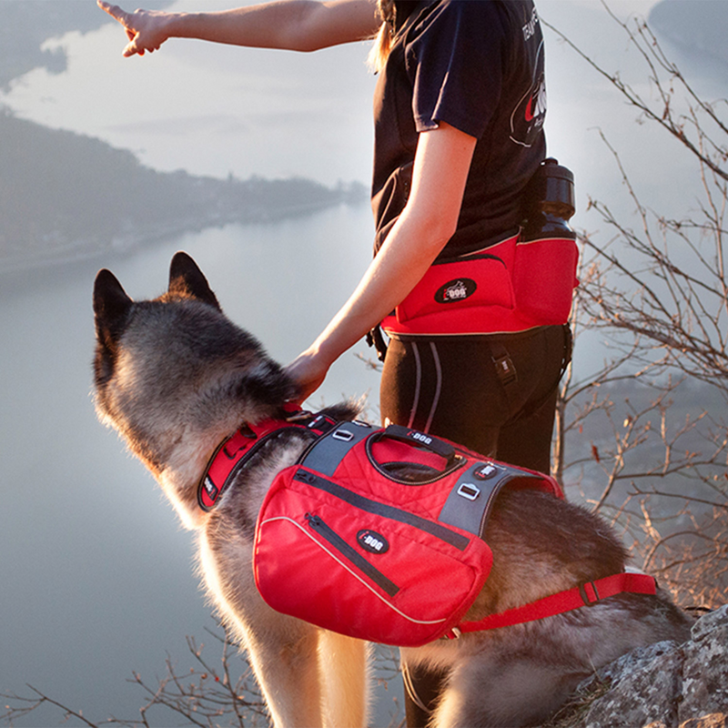 Sacoches pour harnais I-Dog Confort Trek