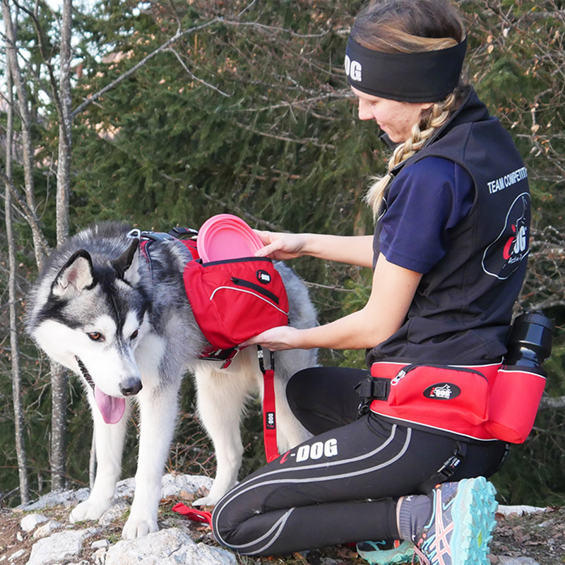 Sacoches pour harnais I-Dog Confort Trek