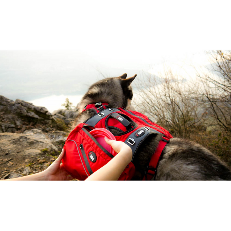 Sacoches pour harnais I-Dog Confort Trek