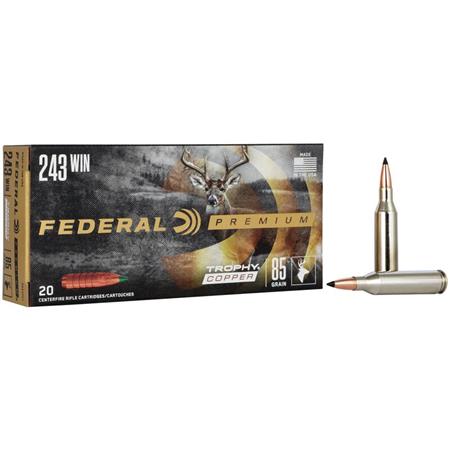 Munitions Federal Premium Ogive Trophy Bonded Tip - Cal. 243 Win.