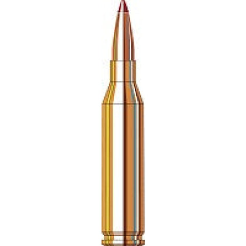 Balles Hornady Precision Hunter 243 Win. 90GR ELD-X 781222