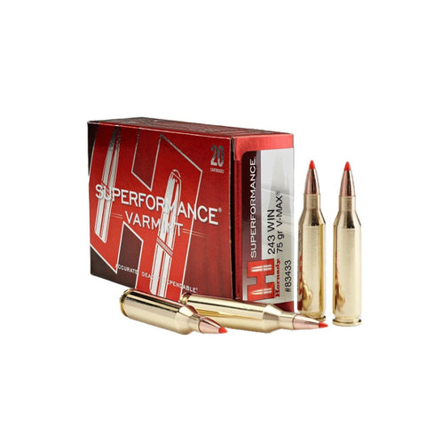 Balles Hornady Superformance 243 Win. 75GR V-MAX 781933