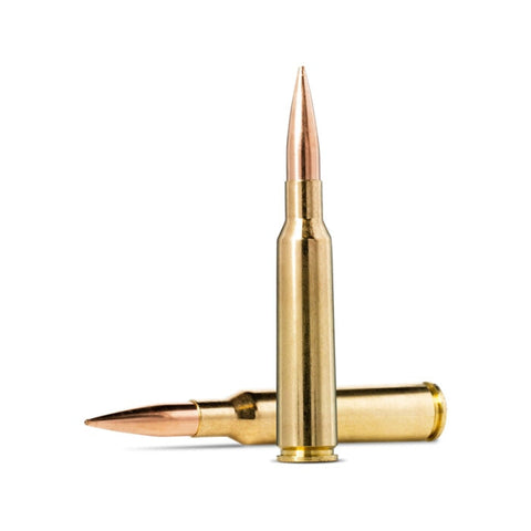 Balles Norma Golden Target - Cal. 6,5x55 62201467