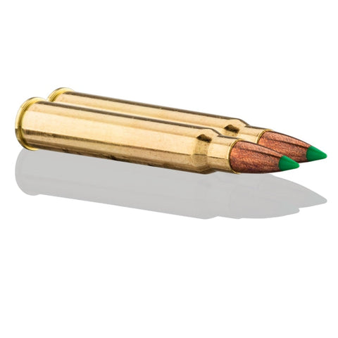 Balles Sologne - Cal..30 R Blaser Nosler Ballistic Tip BG3012