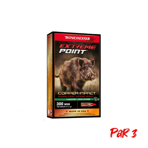 Balles Winchester Extreme Point Lead Free - Cal. 300 WSM - Par 20