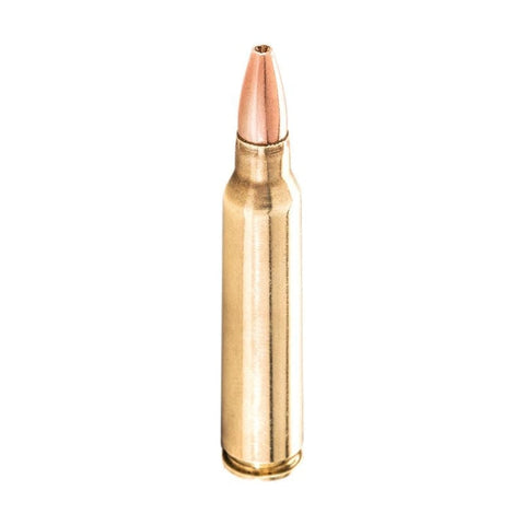 Balles Winchester Varmint X Lead Free - Cal. 243 Win. CX243PLF