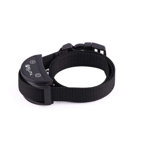 Collier de dressage Elite Pet 500 m - 2 Chiens EPSV4