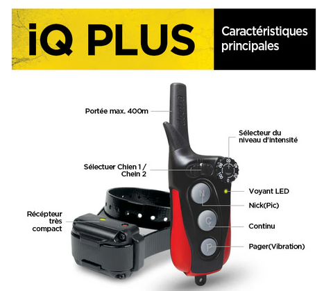 Collier Dogtra IQ Plus