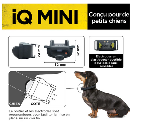 Collier Dogtra IQ Mini