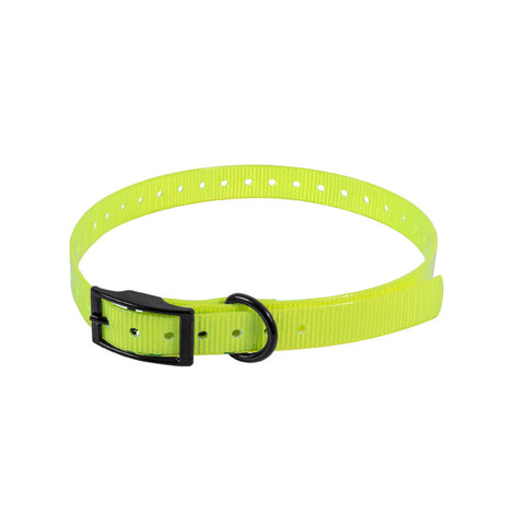 Sangle pour collier electronique HB Dog - 65 cm BAU00011