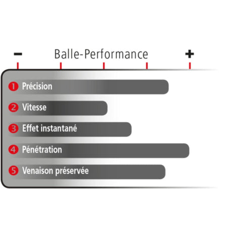 Balles Geco Plus - Cal. 270 Win. 2317837