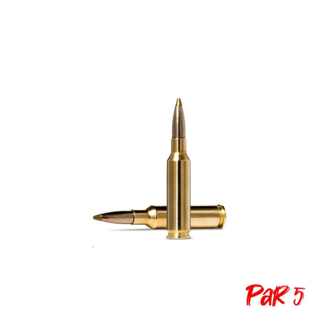 Balles Norma Evostrike - Cal. 6.5 Creedmoor 62201291P5