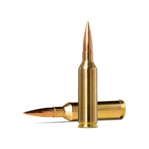 Balles Norma Golden Target - Cal. 6.5 PRC 62201465