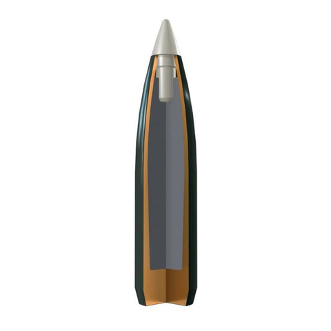 Balles Winchester Ballistic Silvertip - Cal. 308 Win. CSBST308