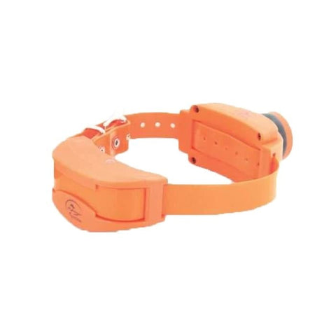 Collier supplémentair de dressage et repérage SportDog CY3251