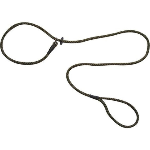 Laisse Lasso Roc Import PU261