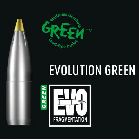 Ogives RWS Evo Green - Cal. 10.3 mm 2416961