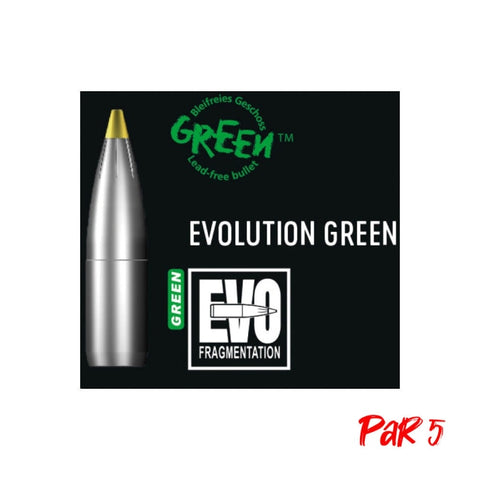 Ogives RWS Evo Green - Cal. 10.3 mm 2416961P5