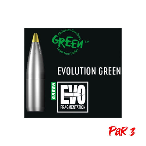 Ogives RWS Evo Green - Cal. 10.3 mm 2416961P3